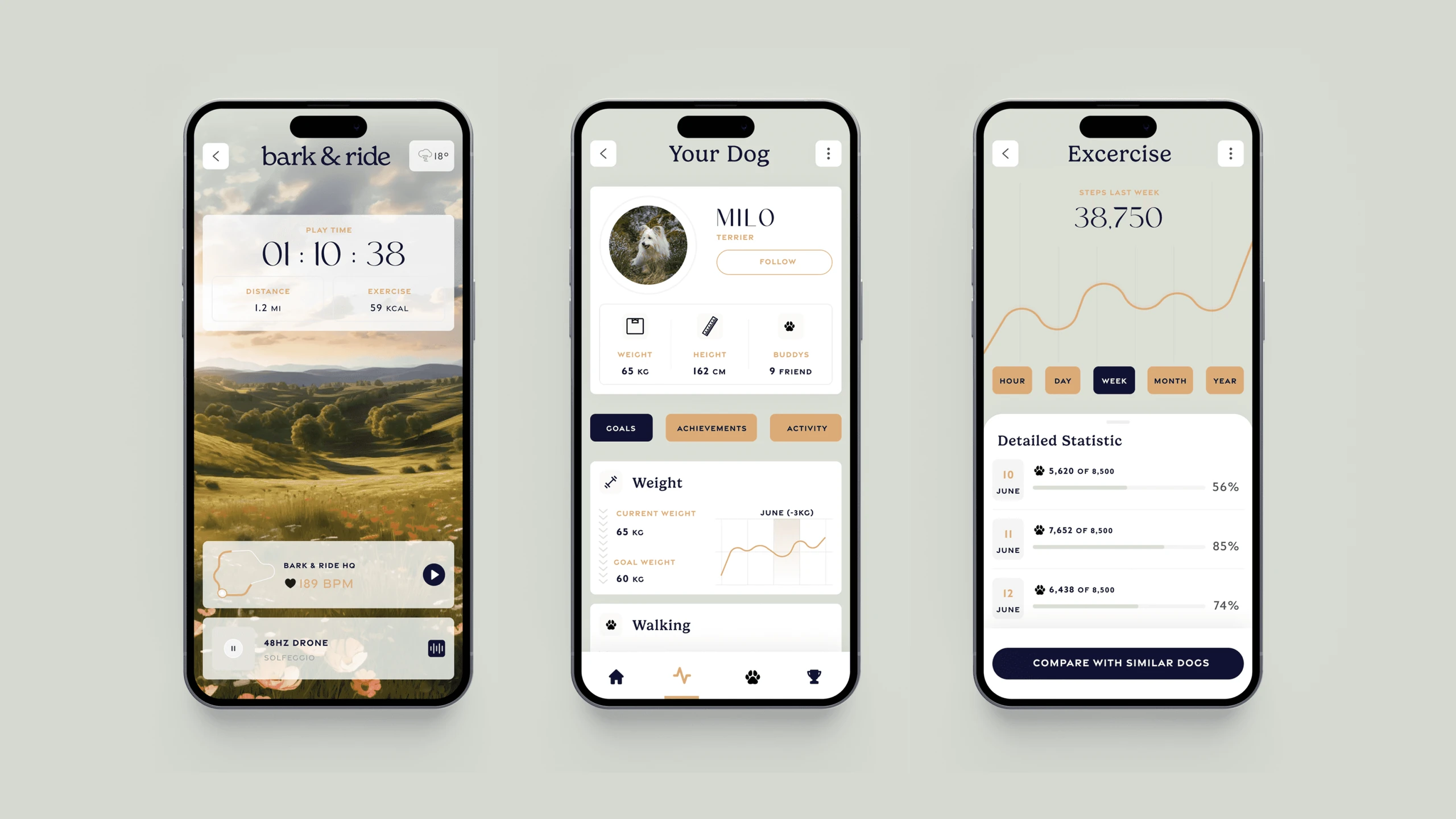 Three app screens: a countdown to the next ride, a dog profile with weight and walking stats, and an exercise dashboard