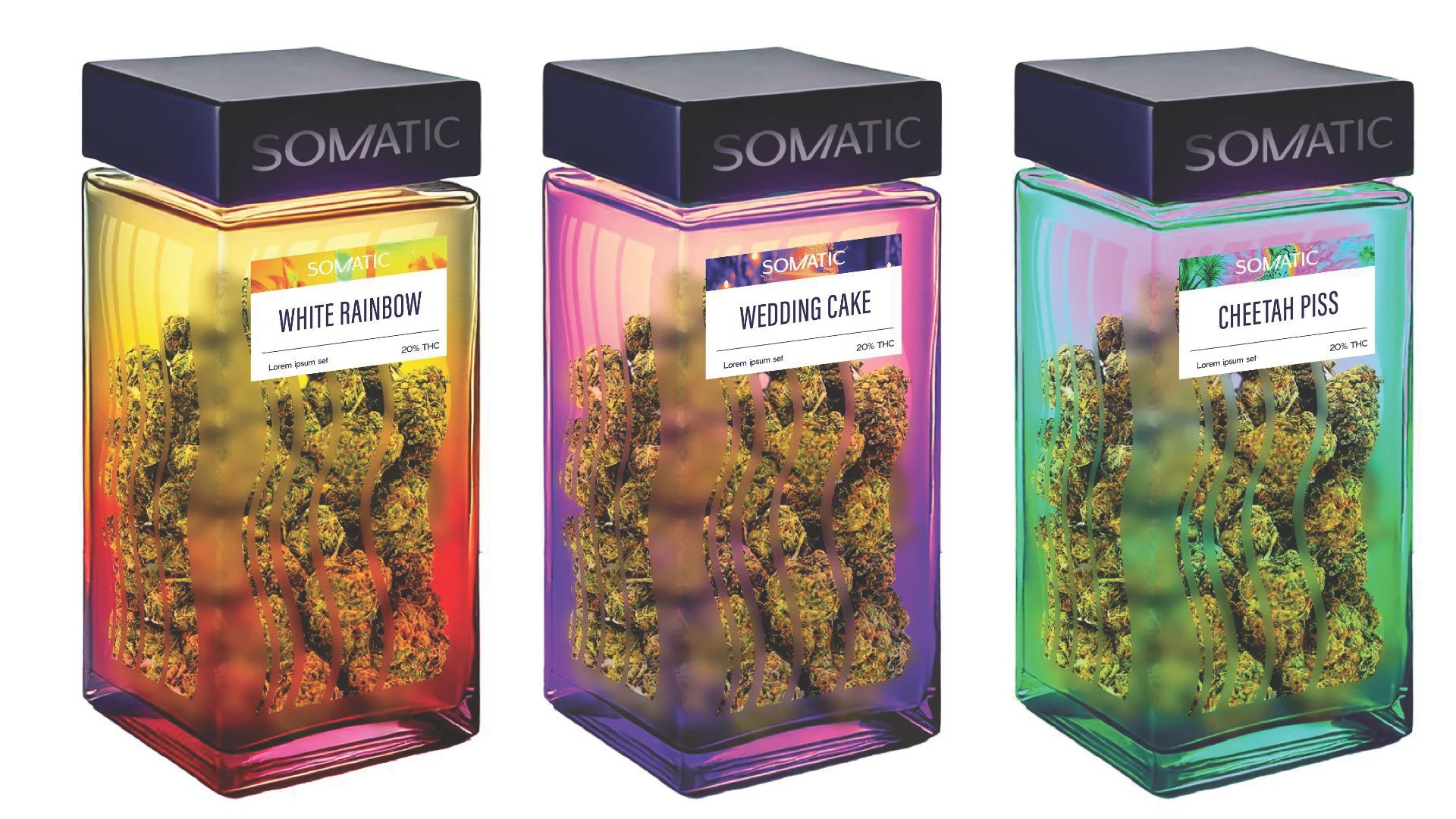 Somatic: jars