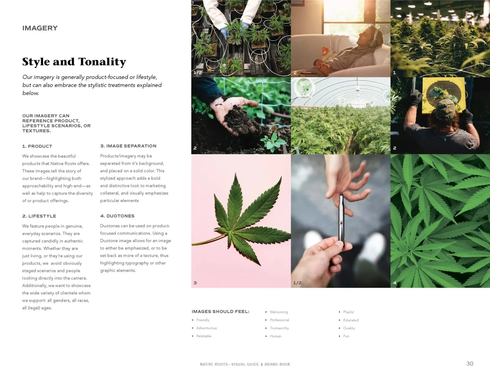 Native Roots brand book, spread 8 of 16