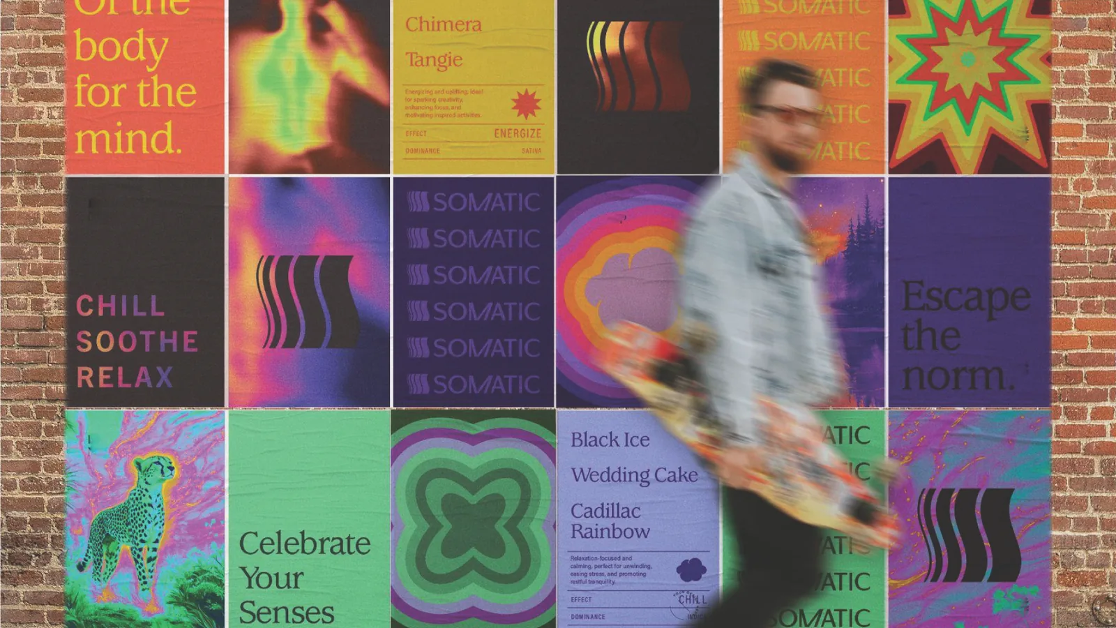 Somatic: 01