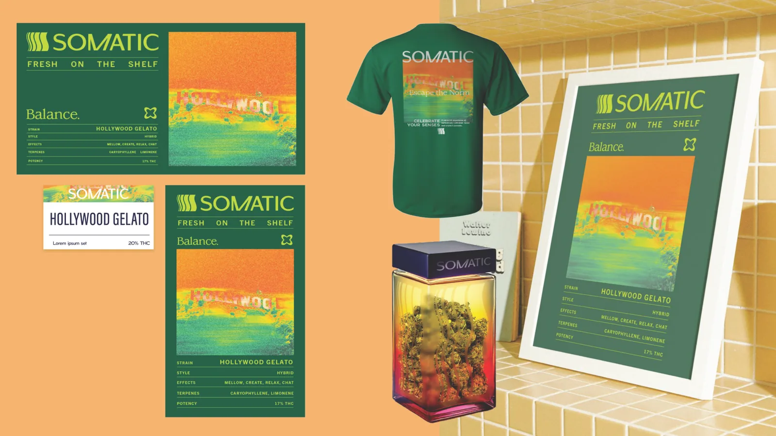 Somatic: 03