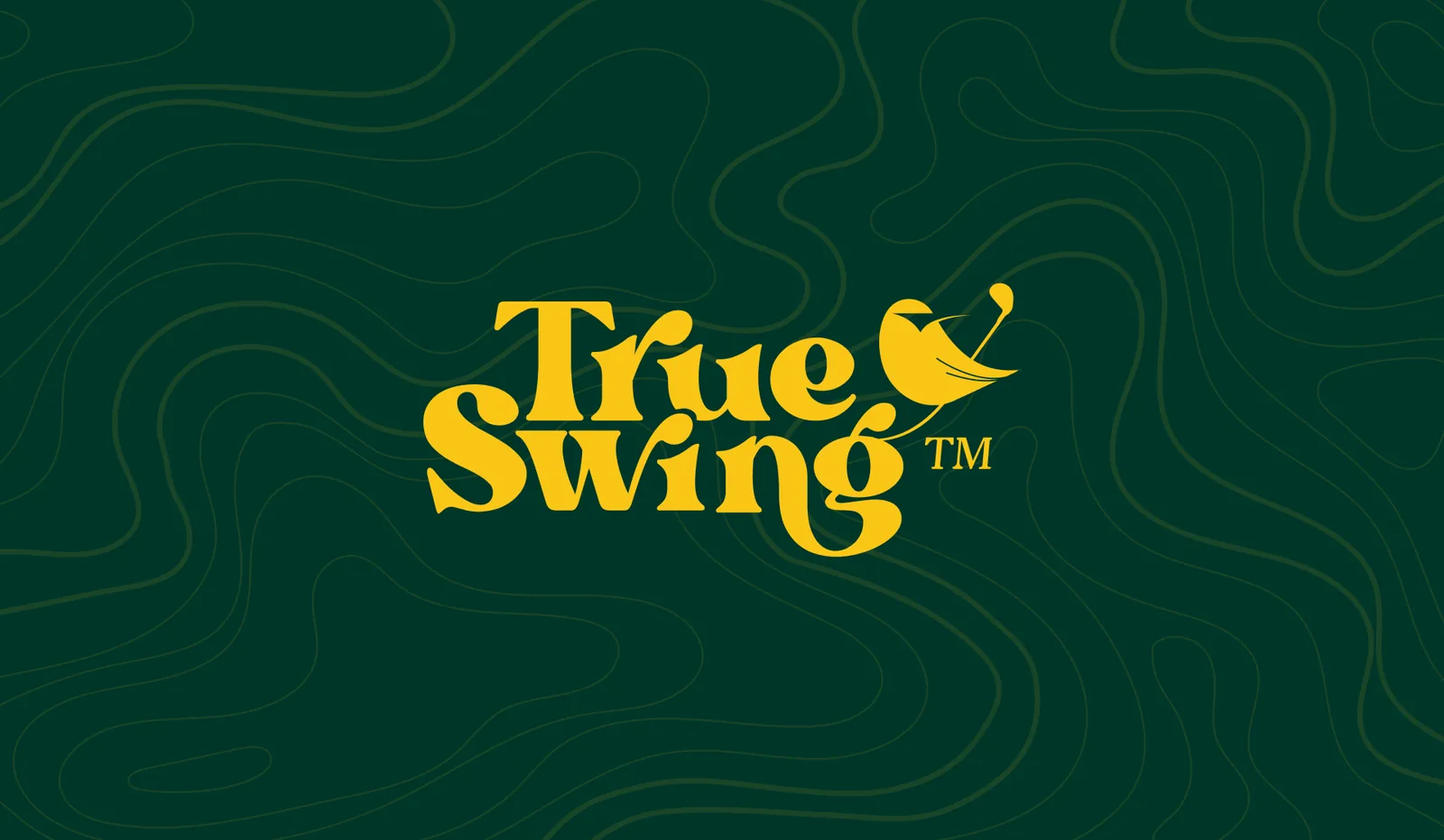 The brand book cover: the logo on contour lines.