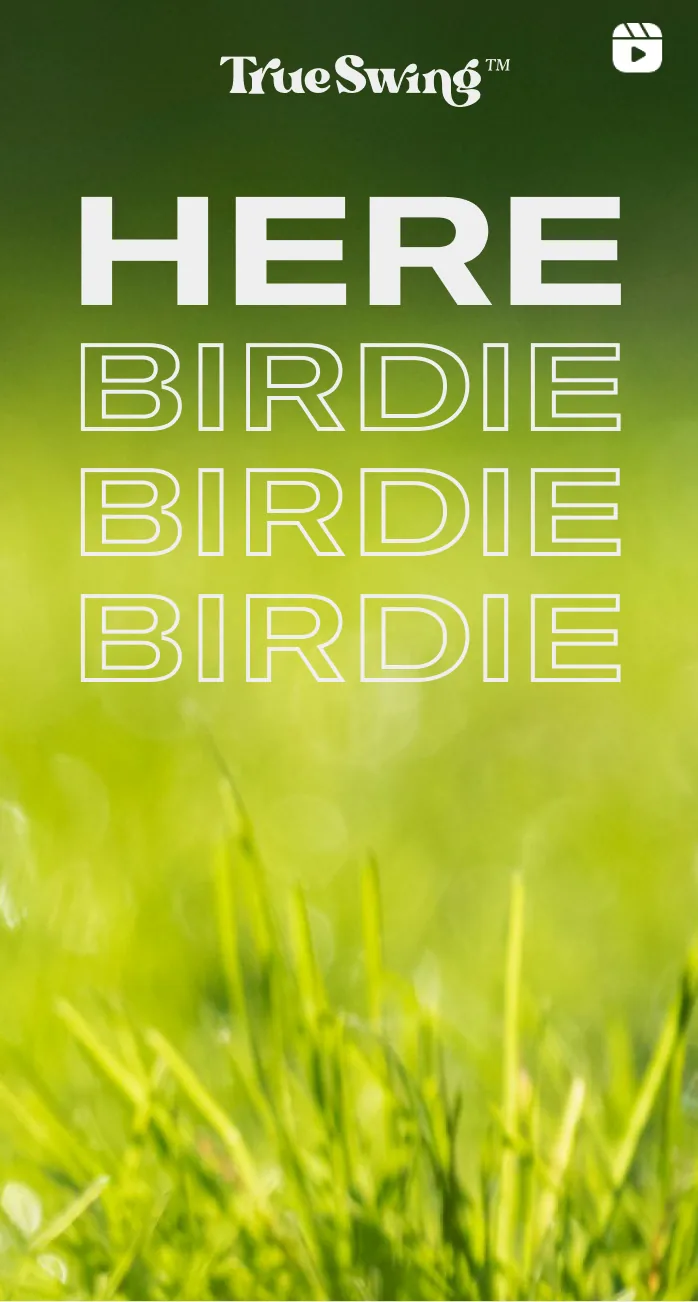 Social still: here, birdie birdie birdie.