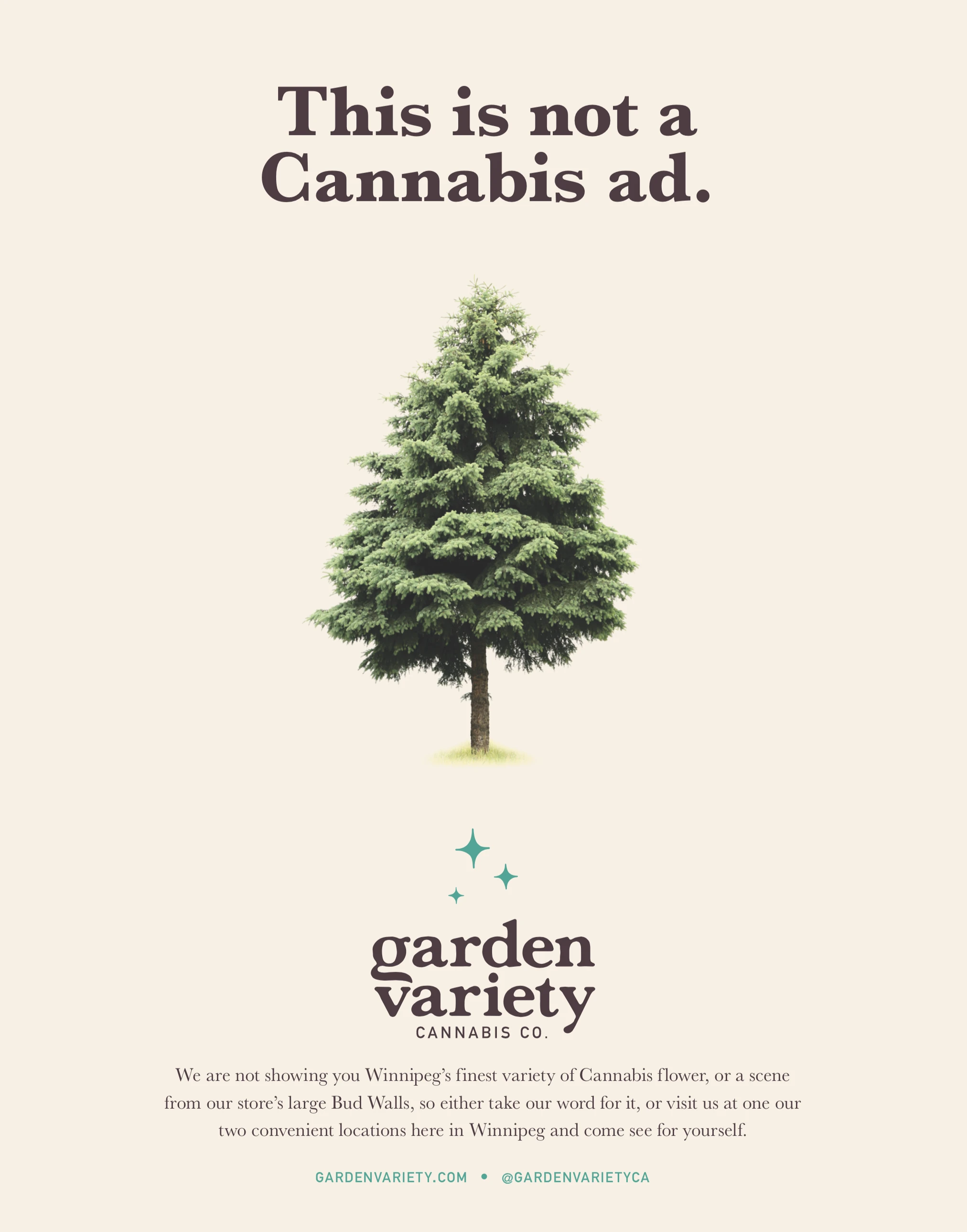 The print ad: a pine tree on a cream sheet under the line This is not a Cannabis ad, the Sparwolf small at the foot