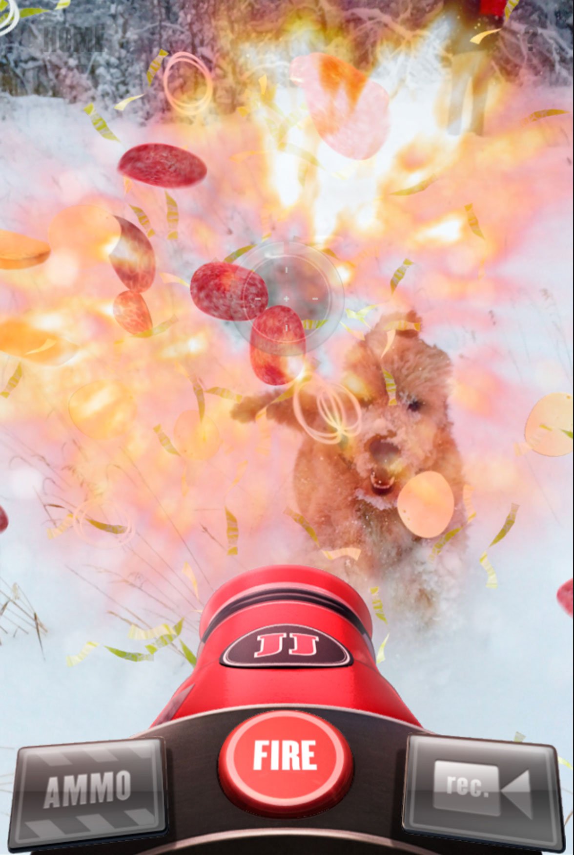 The same dog through the ammo cloud, tomato and cheese mid-air