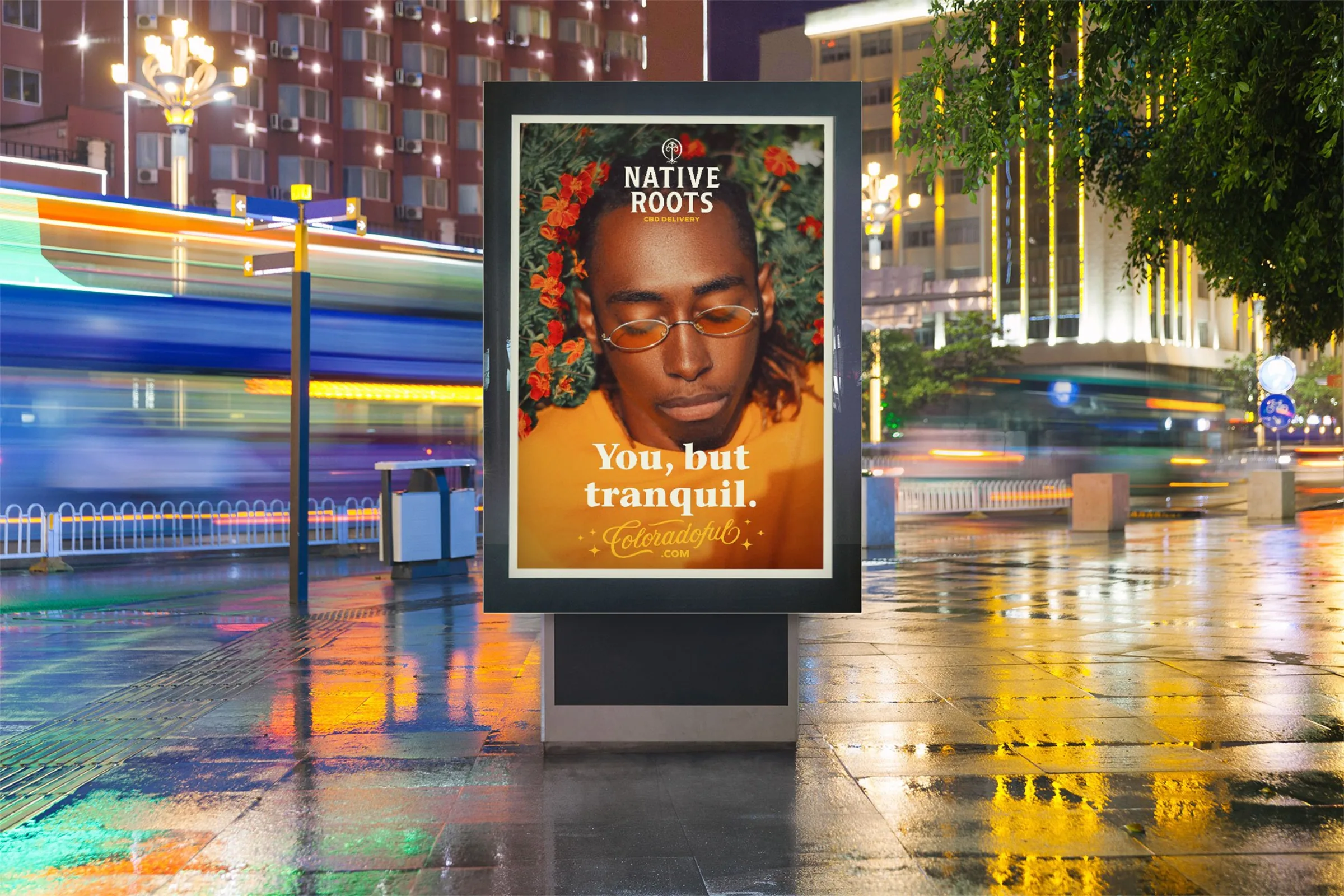 A bus shelter at night: You, but tranquil, over the CBD marketplace address