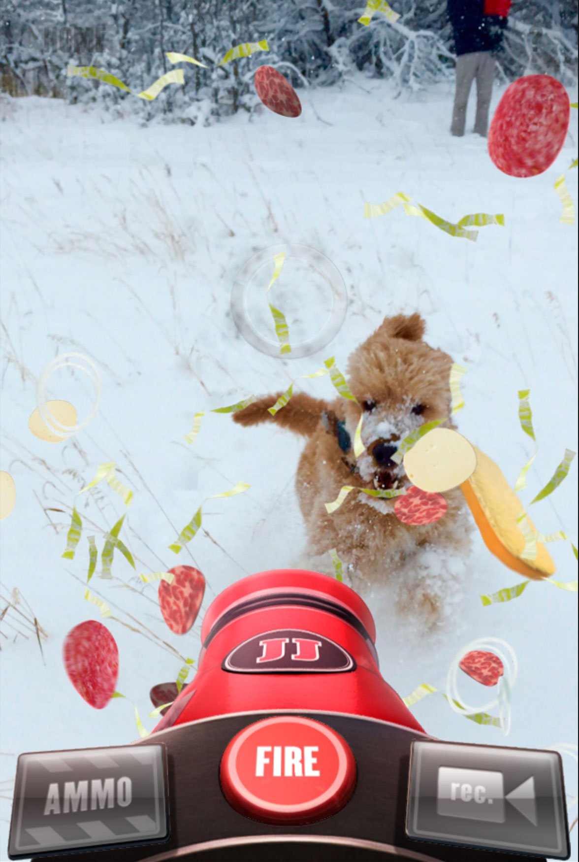 A dog in the snow, bread and lettuce flying at it from the cannon