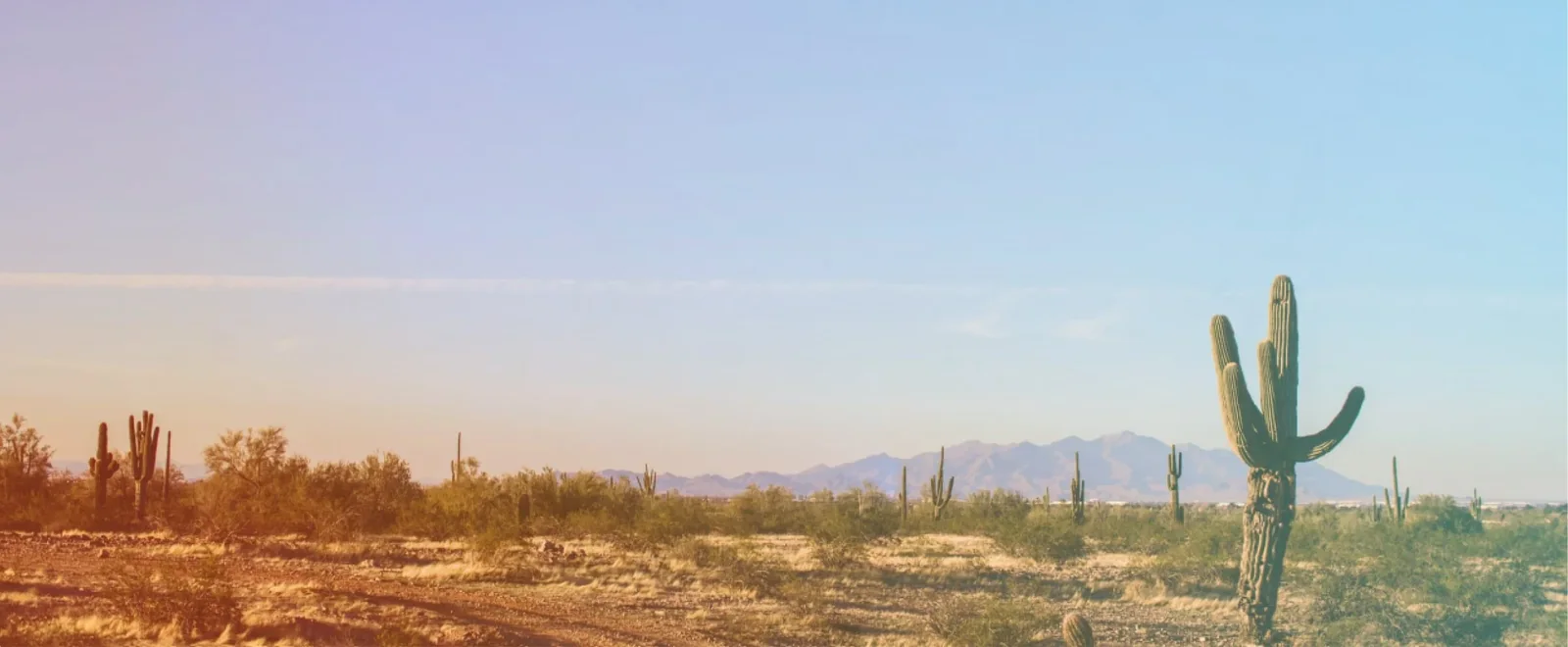 LuckyTruck on a desktop, a laptop, a tablet and a phone: the easiest way to buy and manage trucking insurance