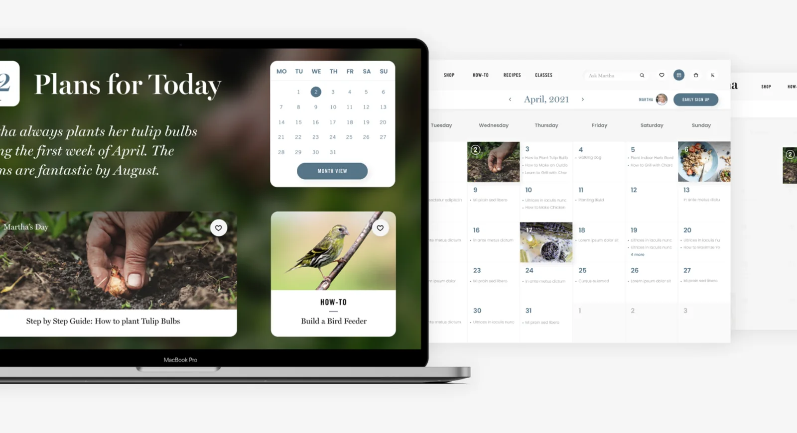 Martha.com on a laptop: Plans for Today, the tulip bulbs, and the month's calendar
